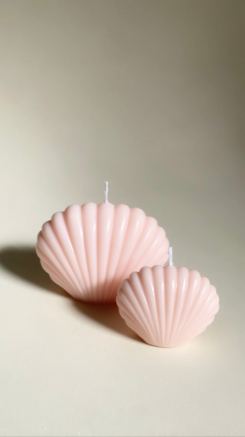 Pink Shell Duo