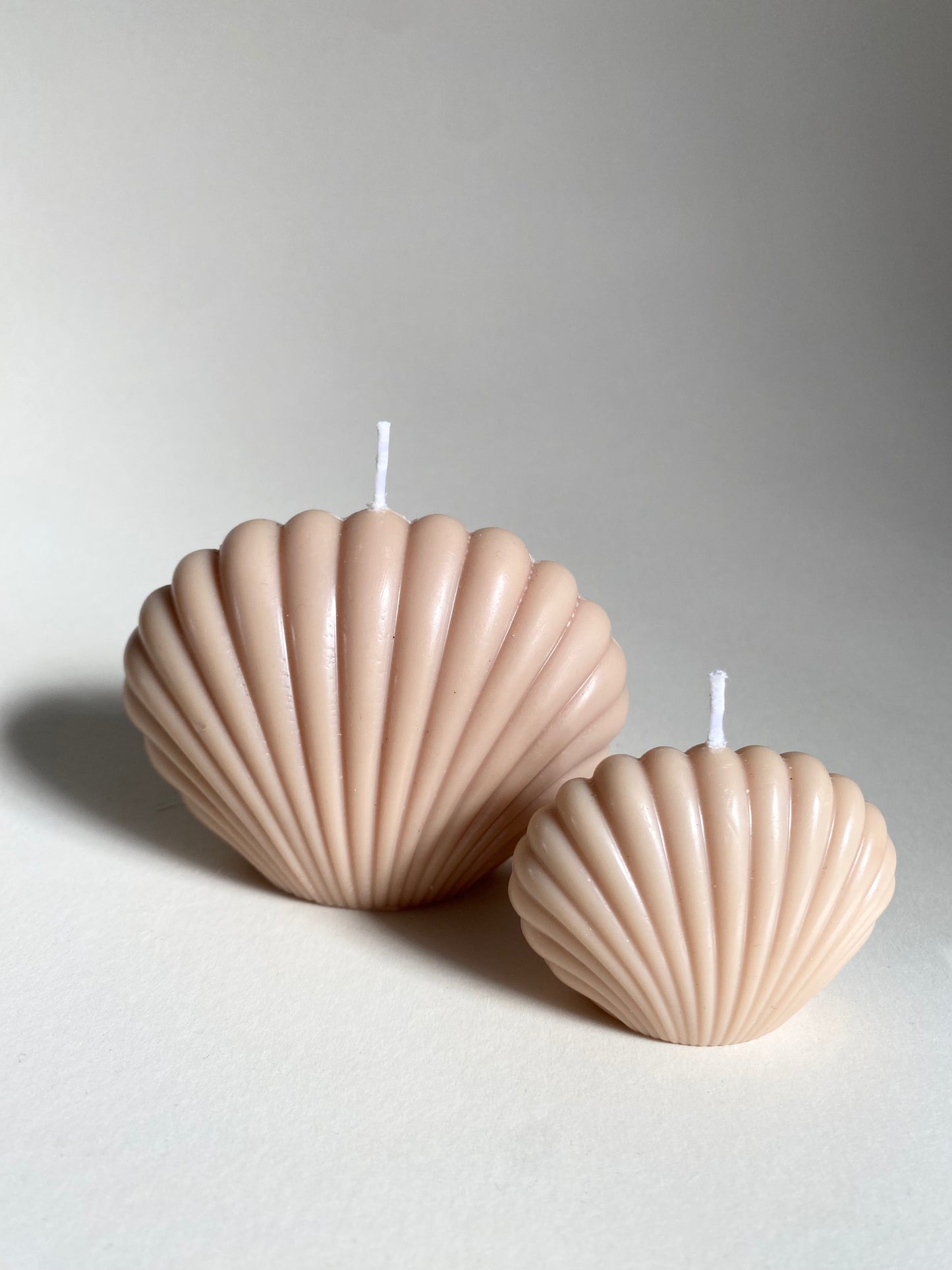 Nude Shell Duo