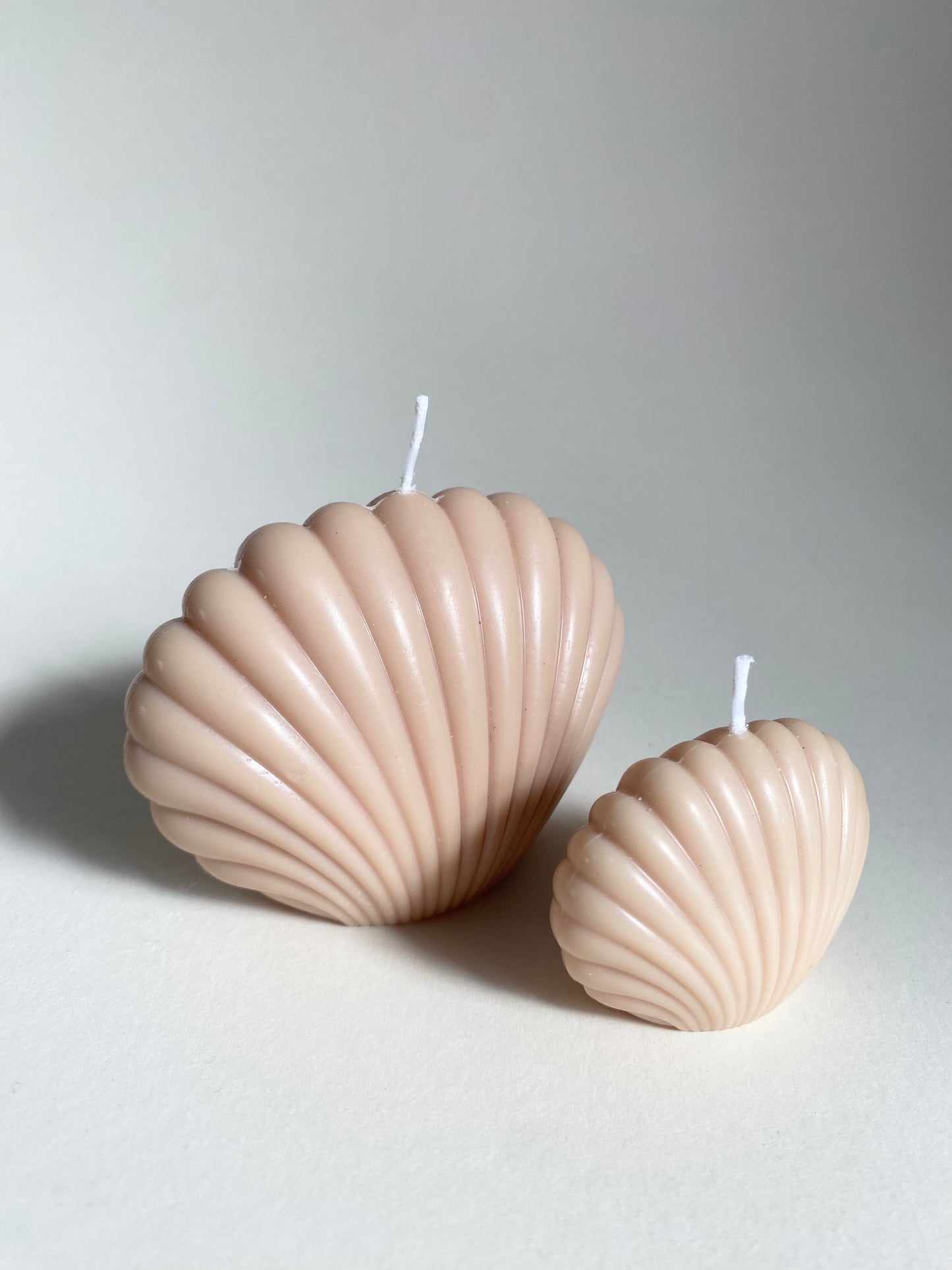 Nude Shell Duo