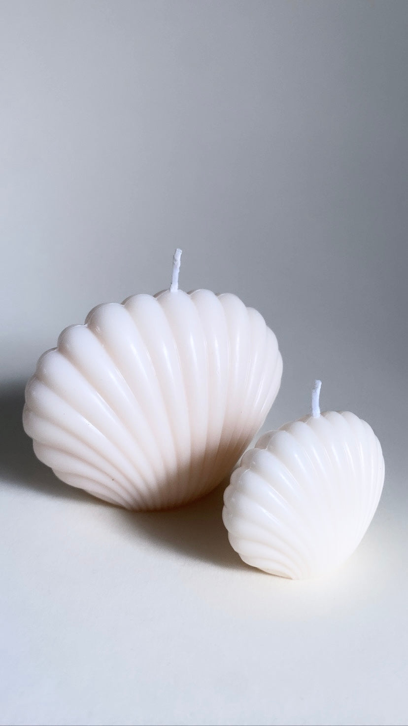 White Shell Duo