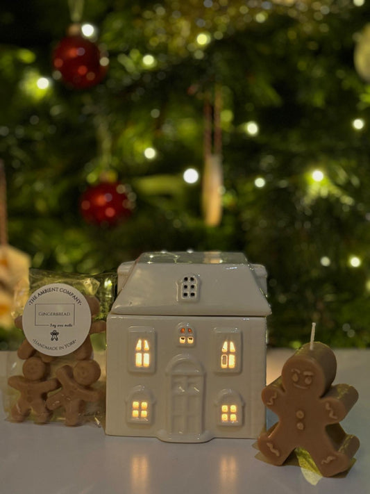 Cosy Christmas Collection🎄