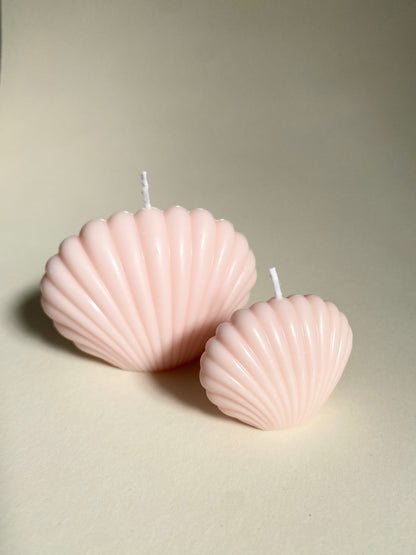 Pink Shell Duo