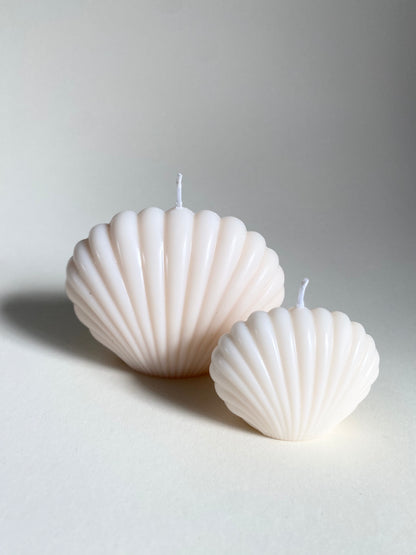 White Shell Duo