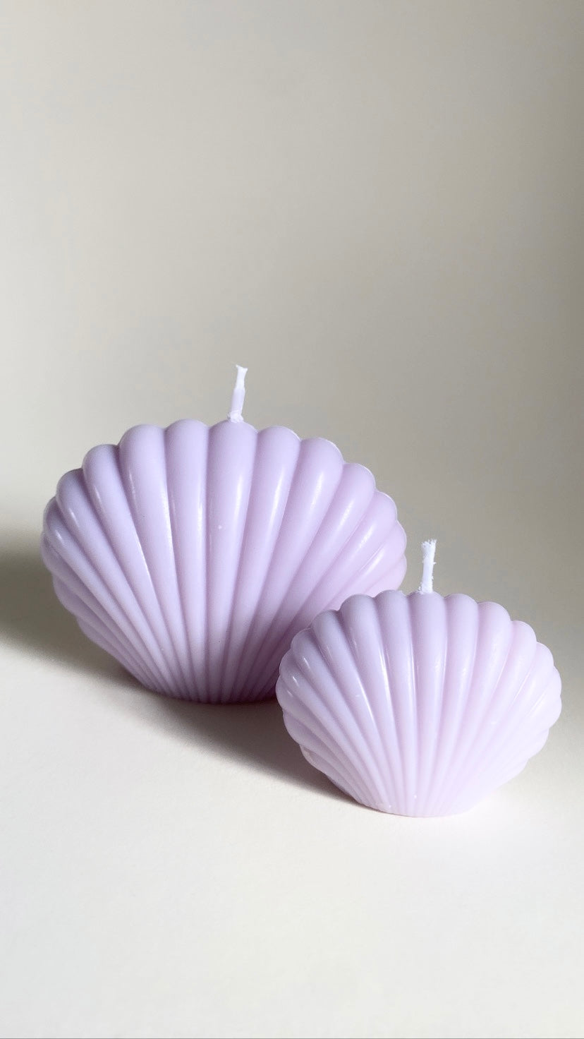 Purple Shell Duo – The Ambient Co.